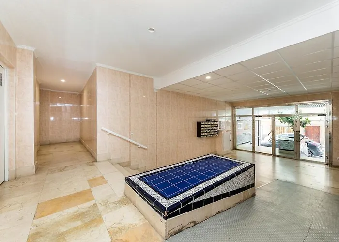 Navegantes تورّيفيِخا